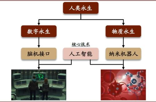 量子計算 未來30年的顛覆性力量，中金公司如何解讀？